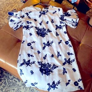 Banana Republic Baby Blue Embroidered Flounce Shoulder Dress